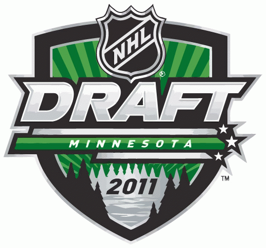 NHL Draft 2011 Primary Logo iron on transfers for clothing